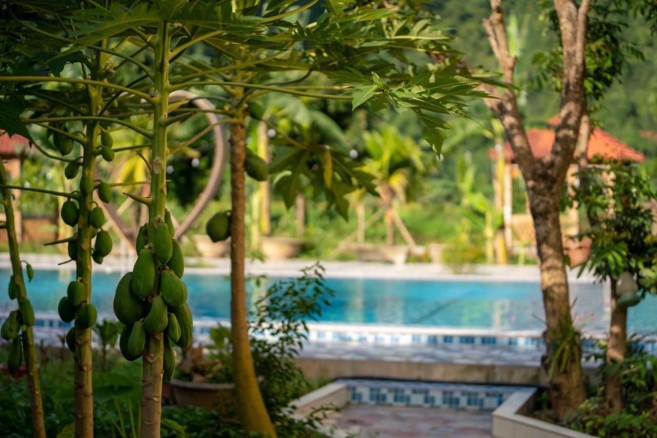 Tan Dinh Farmstay Ninh Bình Ngoại thất bức ảnh