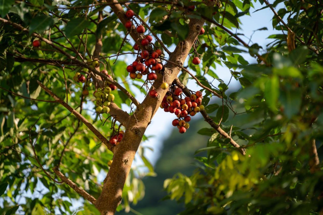 Tan Dinh Farmstay Ninh Bình Ngoại thất bức ảnh